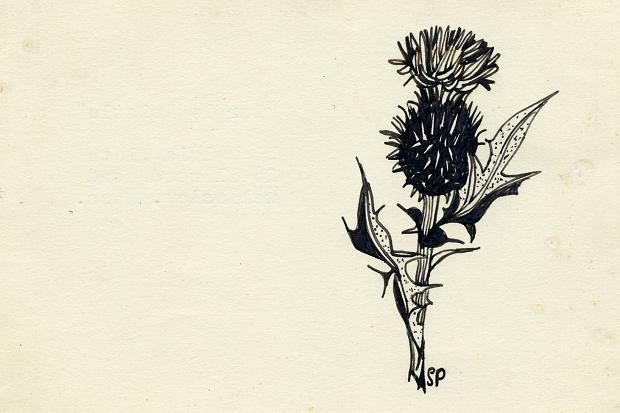 Plath-flor-smush