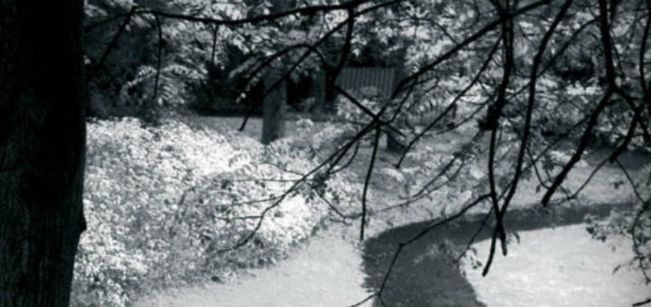 Sí