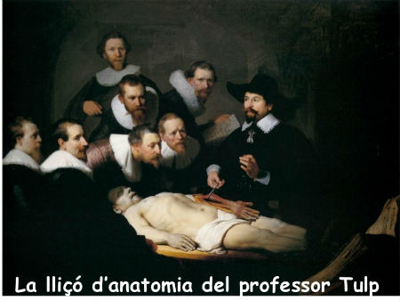 La lliçó d'anatomia del professor Tulp
