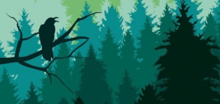 El secret del Bosc Vell